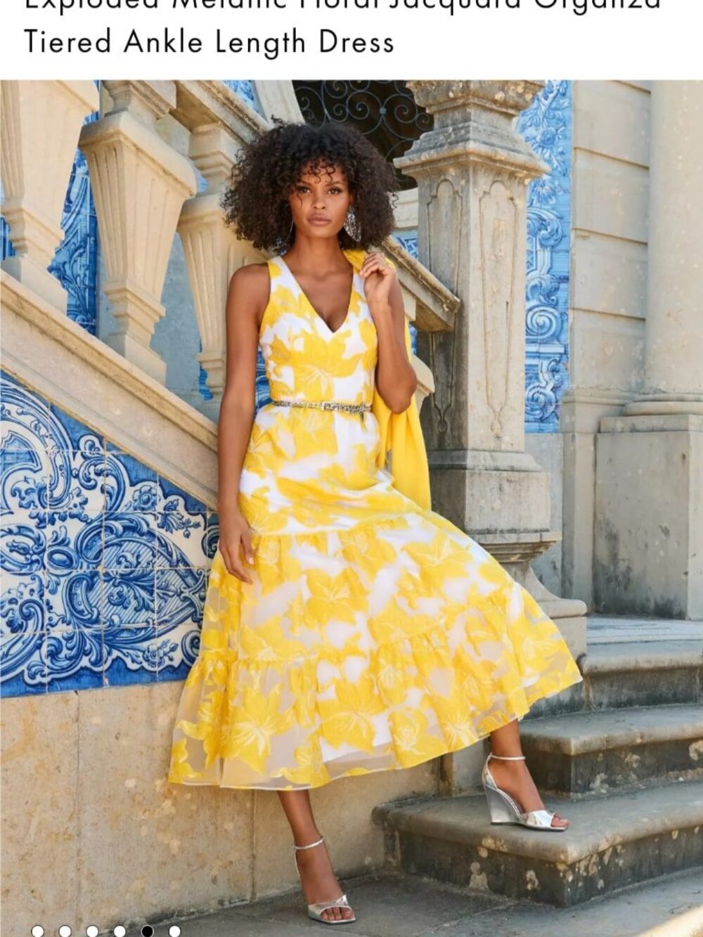 Boston Proper Exploded Metallic Floral Jacquard Organza Tiered Maxi Dress 12